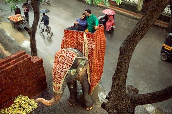 nhung buc anh ve tinh yeu dong tinh